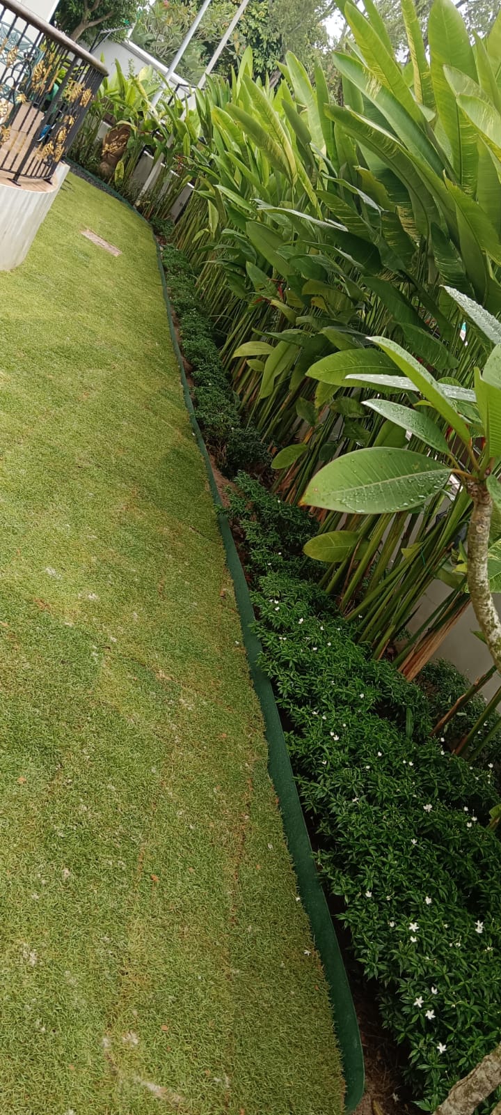 Commercial Landscape Maintenance